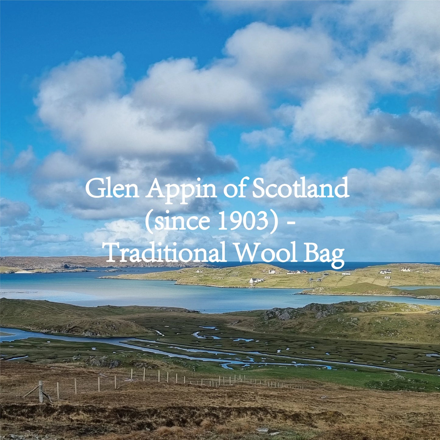 Glen Appin Harris Tweed Bervie Ladies Mini Satchel Purse