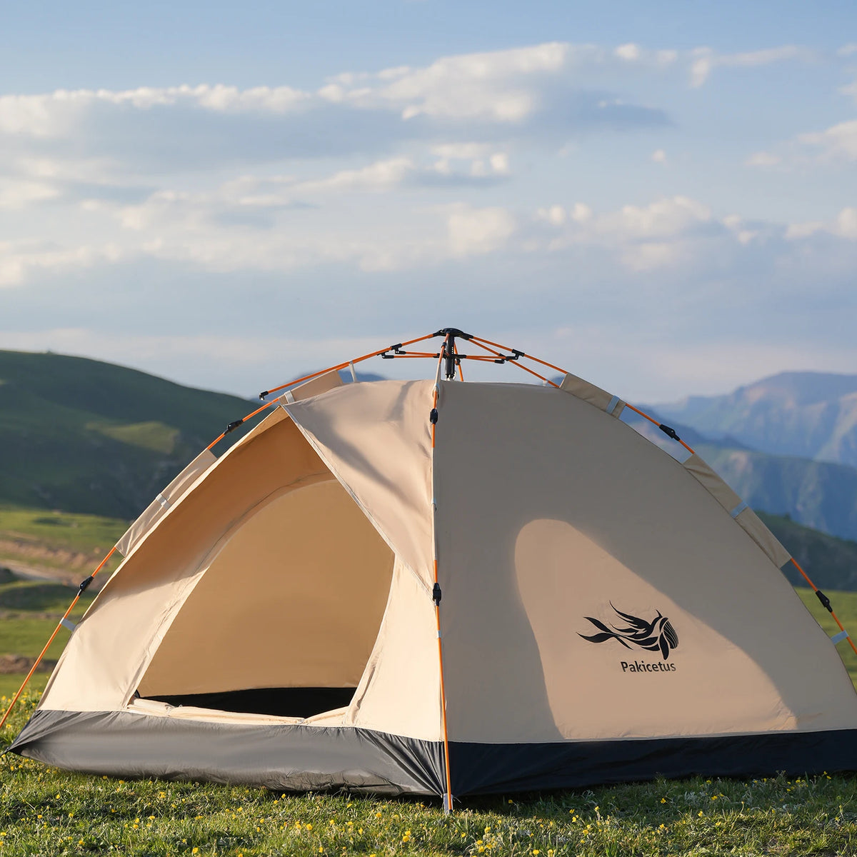 Pakicetus Instant Pop Up Dome Tent For Camping Outdoors