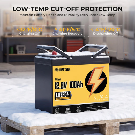 RVPOZWER 12V 100Ah LiFePO4 Battery With Integrated 120A BMS